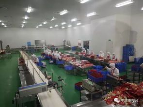 玉峰食品 用制藥的標(biāo)準(zhǔn)來(lái)生產(chǎn) 辣條 車(chē)間全年面向消費(fèi)者開(kāi)放